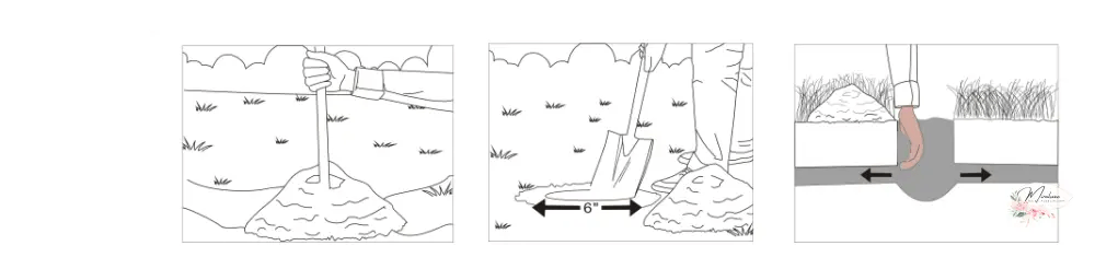 Capcane cârtiță tip tunel - Grădina MiraluxeCapcane cârtiță tip tunelCapcaneGrădina Miraluxe
